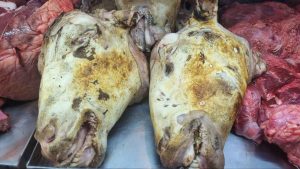 Fresh sheep's head for Iranian kale pache