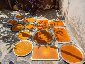 Drying lavashak in the sun 