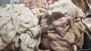 Fresh and raw sirabi