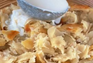 Bread and curd Qurutob