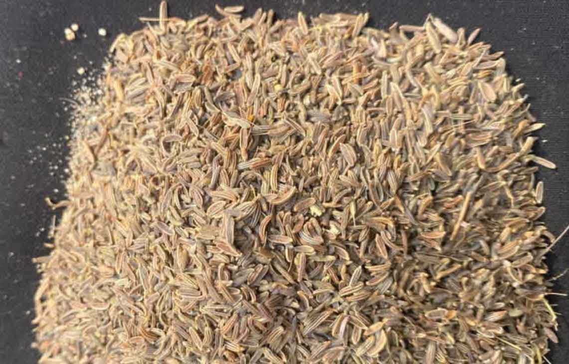 Zerek Rice How to make authentic Indian Zeera Rice(Jeera Rice) in 6 steps