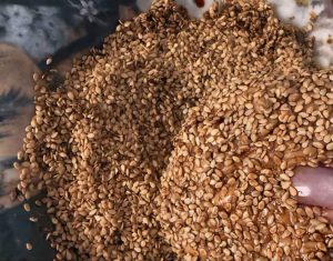 High-quality sesame for simit bread