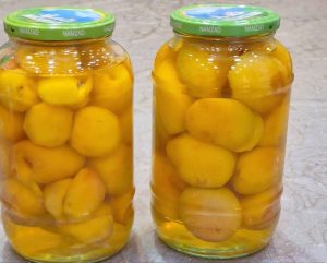 Recipe for Iranian apricot compote
