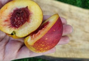 Fresh peaches for instant peach pancakes