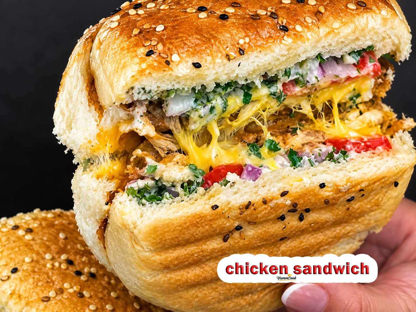 Iranian chicken sandwich with shredded chicken and mushrooms