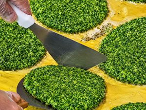 Kookoo Sabzi frying in a pan