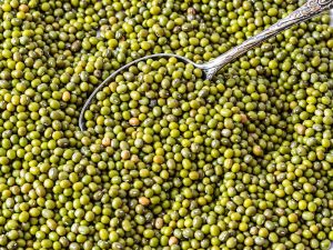 Mung bean soup with fresh herbs